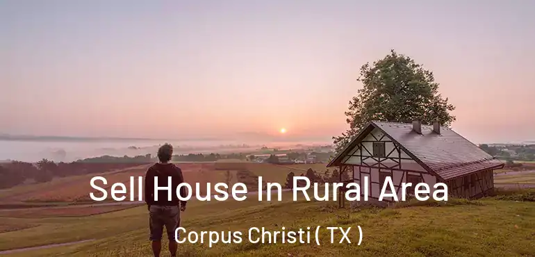  Sell House In Rural Area Corpus Christi ( TX )