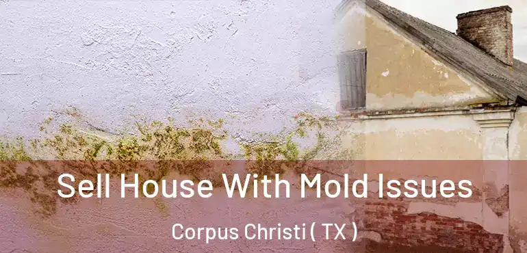  Sell House With Mold Issues Corpus Christi ( TX )